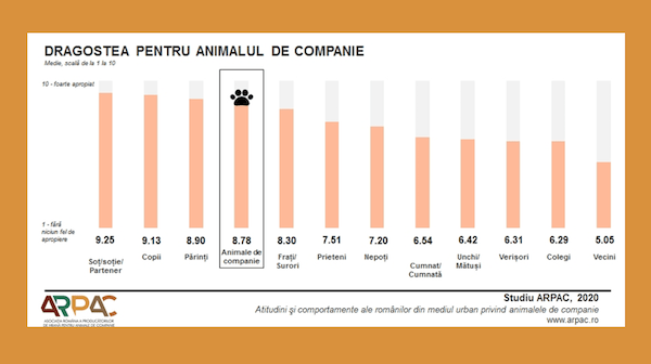 infografic studiu ARPAC 2